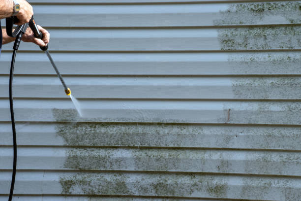Best Attic Cleanout  in Haughton, LA